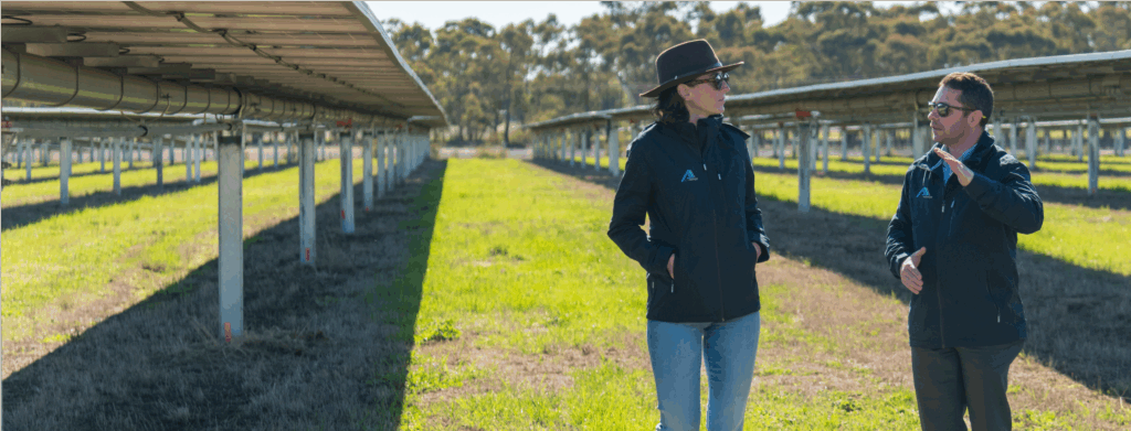 Two people talking in solar farm between panel rows.