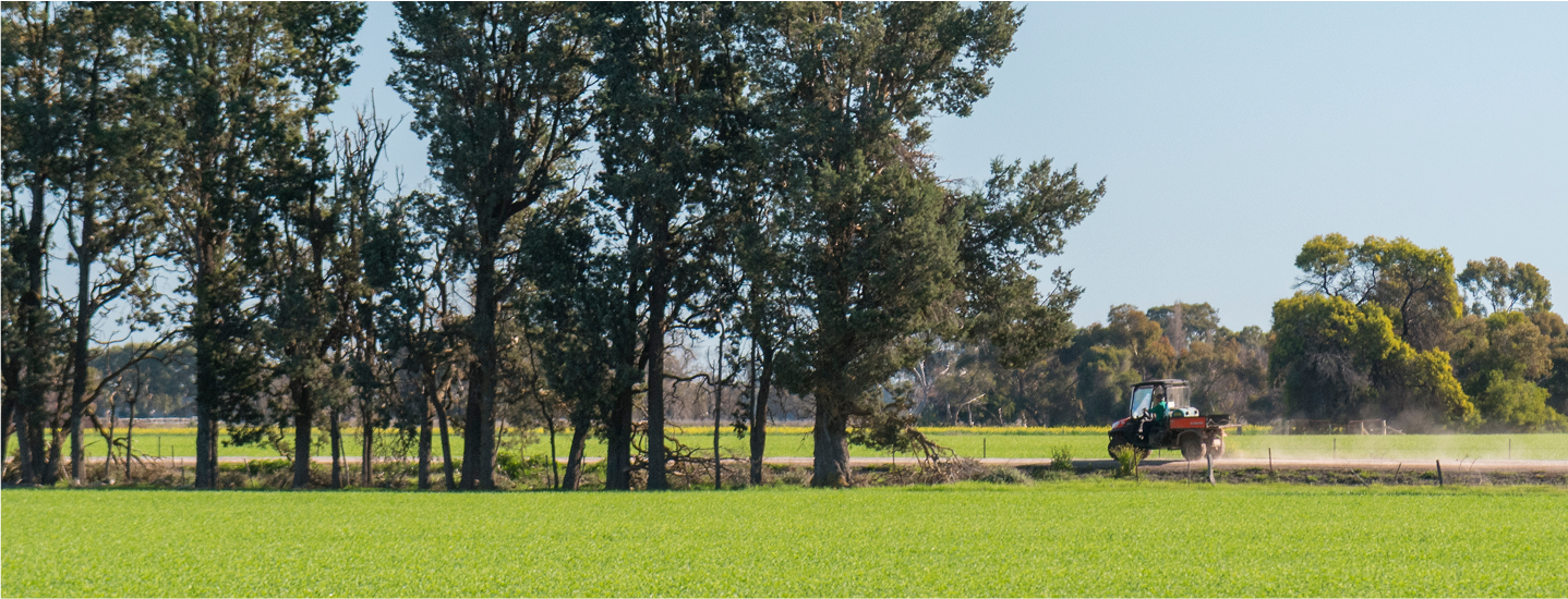 Tractor on dusty road in green field under blue sky.